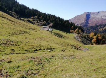 Percorso Marcia Cléry - Raffort / sous le col du Tamier - Photo