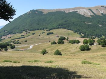 Percorso A piedi Pacentro - Pacentro - Lama Bianca - Photo