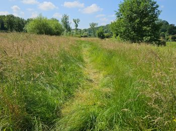 Tocht Stappen Gulpen-Wittem - Wijlre - Photo