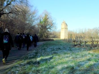 Excursión Senderismo Saint-Romain-de-Benet - 17 Le Vivier IV -7km200 - Photo