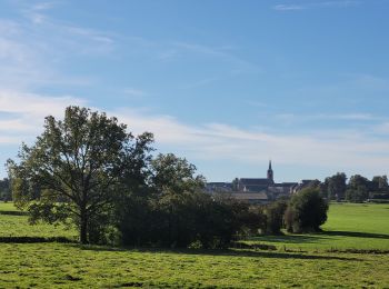 Randonnée Marche Daverdisse - rando haut fays 26-09-2023 - Photo