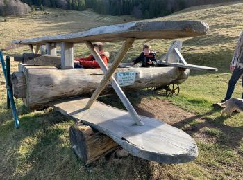 Trail Walking Wasserbourg - Petit ballon - Photo