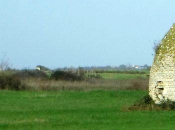 Tocht Stappen Nieulle-sur-Seudre - SityTrail - nieulle sur Seudre edf - Photo