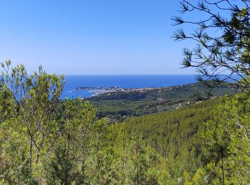 Excursión Senderismo Sanary-sur-Mer - Tour du petit cerveau - Photo