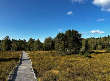 Trail Walking Frasne - tourbieres-de-frasne-bouverans-petite-boucle 2 - Photo