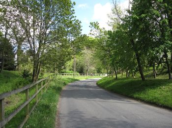 Randonnée A pied West Suffolk - Freckenham Circular Walk - Photo