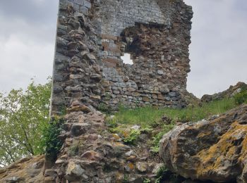 Tour Wandern Saint-Hippolyte-de-Montaigu - Etang de capelle Masmolene - Photo