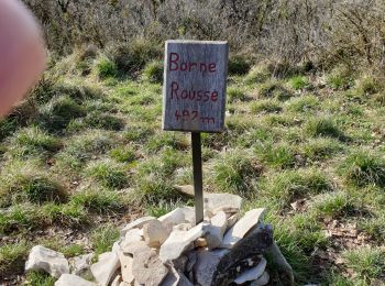 Trail Walking Marsanne - Sentier des jonquilles  - Photo