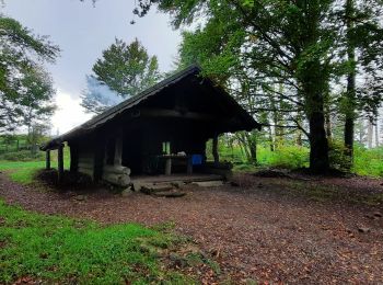 Randonnée Marche Dolleren - dolleren, abri graber et sommerseiten  - Photo