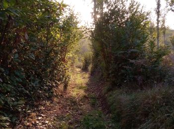 Randonnée Marche Les Eyzies - Sireuil 14,9km - Photo