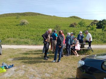 Trail Walking Plouguerneau - le vougot  Plouguerneau - Photo