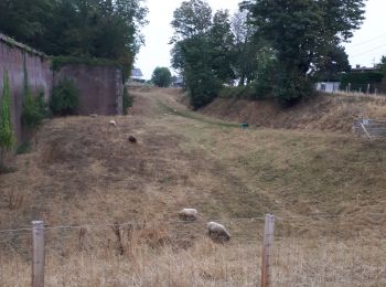 Randonnée Marche Le Havre - Le Havre: les jardins suspendus - Photo