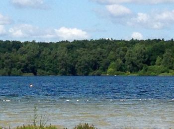 Tour Zu Fuß Bad Segeberg - Rundweg Ihlsee - Photo