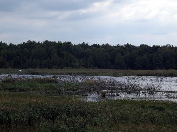 Percorso A piedi  - Ścieżka przyrodnicza „Perehod” - Photo