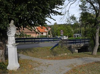 Tour Zu Fuß okres Veľký Krtíš - Náučný chodník Stromy čebovských lesov - Photo