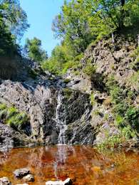 Tocht Stappen Waimes - La Cascade du Bayehon   - Photo