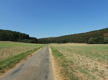 Tour Zu Fuß Brockum - Wehdem Rundwanderweg A5 - Photo