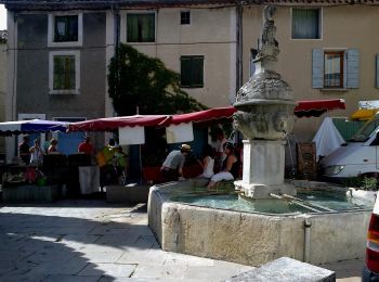 Percorso A piedi Mollans-sur-Ouvèze - Crête et Ubac de Bluye - Photo