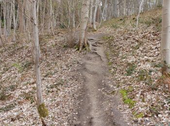 Trail Walking Ottignies-Louvain-la-Neuve - El djeu d'balle, El bo d'lauzelle et r'tour  - Photo