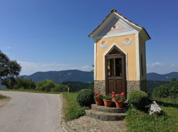 Trail On foot Zreče - Skomarska pot - Photo