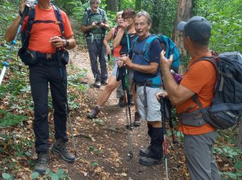 Randonnée Marche Souligny - Souligny 25km les Écrins le 26.07.2022 - Photo