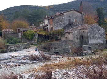 Tour Wandern Mialet - Sentier de Roquefeuil- Mas Soubeyran - Photo