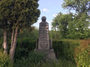 Tour Zu Fuß Vierkirchen - Thiemendorf-Meuselwitz - Photo