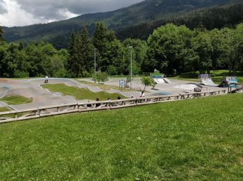 Randonnée Marche Arâches-la-Frasse - boucle les Carroz, la forêt d'Araches, Cretoral, retour par la pierre a Laya - Photo