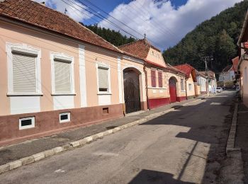 Trail On foot  - Sinaia - Cabana Omu - Râșnov - Photo