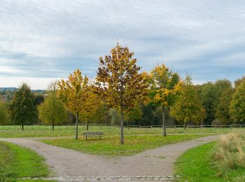 Randonnée A pied Lemgo - Rundwanderweg A3 [Lemgoer Mark] - Photo