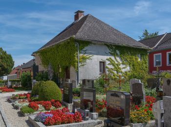 Randonnée A pied Mauthausen - Fuchtelmanderlweg - Photo