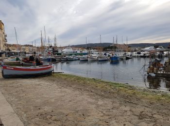 Tocht Stappen Saint-Tropez - St Tropez  - Photo