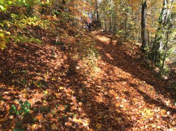 Trail Walking Conand - CHARVIEUX (BUGEY) (15 km - D. 609 m) - Photo