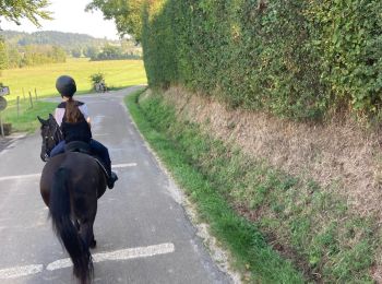 Excursión Paseo ecuestre La Tour-du-Meix - Vouglan camping surchauffant mardi 12 - Photo