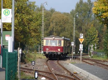 Excursión A pie Ebermannstadt - Rundweg Friedwald - Photo