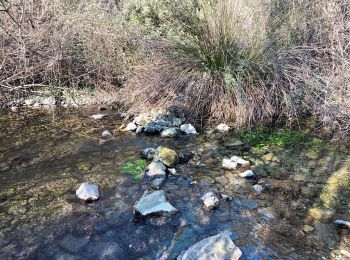 Tocht Stappen Seillons-Source-d'Argens - Rocher des abeilles-02-02-2022 - Photo