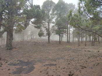 Trail Walking El Paso - dag 3 La Palma  - Photo