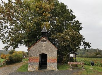 Tocht Stappen Voeren - Fouron-le-Comte (Balade 5) - Photo