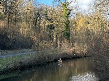 Trail Walking Virton - Croix rouge (circ 13k) - Photo