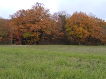 Tocht Stappen Pouxeux - Pouxeux TELETHON  - Photo