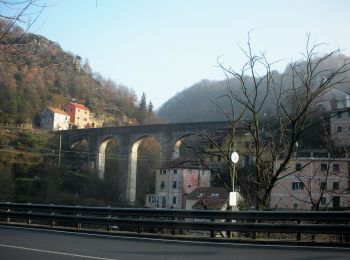 Tour Zu Fuß Genua - Prato - Cavassolo - Capenardo - Monte Candelozzo - Photo