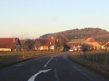 Tocht Te voet Adam-lès-Passavant - Bois de Rodolphe par Adam-lès-Passavant - Photo