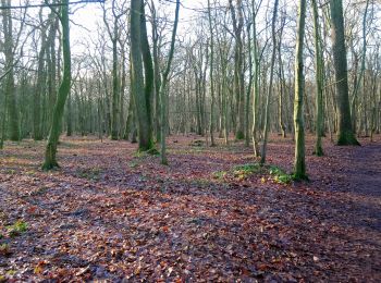 Trail Walking Le Mesnil-le-Roi - Mesnil-parc château St Germain  - Photo