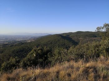 Tour Zu Fuß Castellina Marittima - IT-407 - Photo