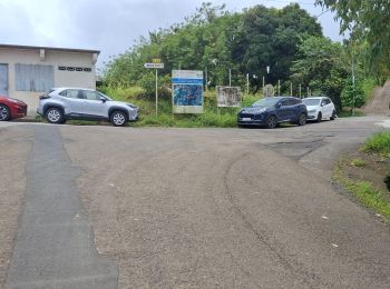 Trail Walking Le Lorrain - Boucle lorrinoise via Macédoine, Morne Félix  - Photo