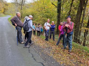 Excursión Senderismo Châteldon - CLD - GM Le 02/11/2021 - Photo