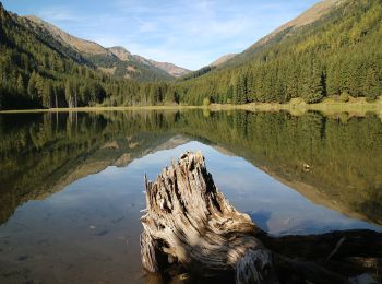 Tour Zu Fuß Gaal - Alpiner Weg Nr: 39 - Photo