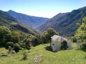 Percorso A piedi Balme - (SI E33) Balme - Pialpetta (Groscavallo) - Photo