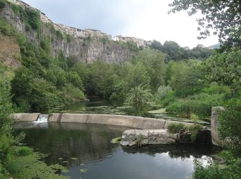 Excursión A pie Montagut i Oix - Montagut-Ermita de la Devesa-Baumes de la Caxurma - Photo