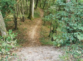 Tocht Mountainbike Tonnoy - Tonnoy - Bois de Richardménil - Photo